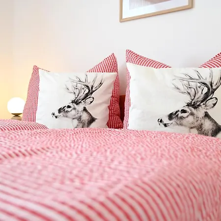 Joloisia Mit Blick Auf Planai