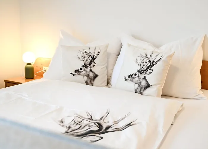 Joloisia Mit Blick Auf Planai * Schladming