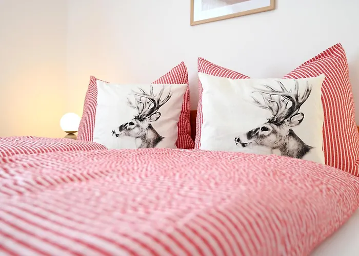 Joloisia Mit Blick Auf Planai